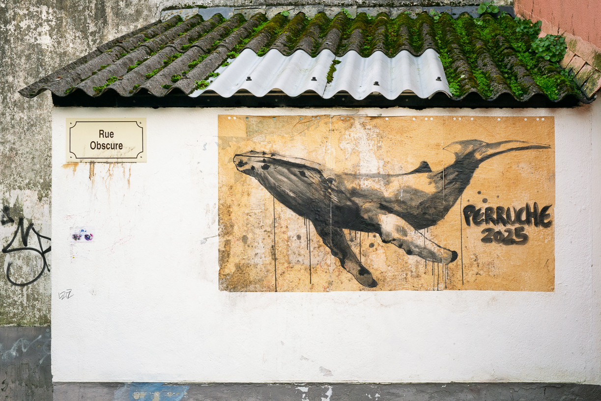 Ceci n'est pas une perruche. 