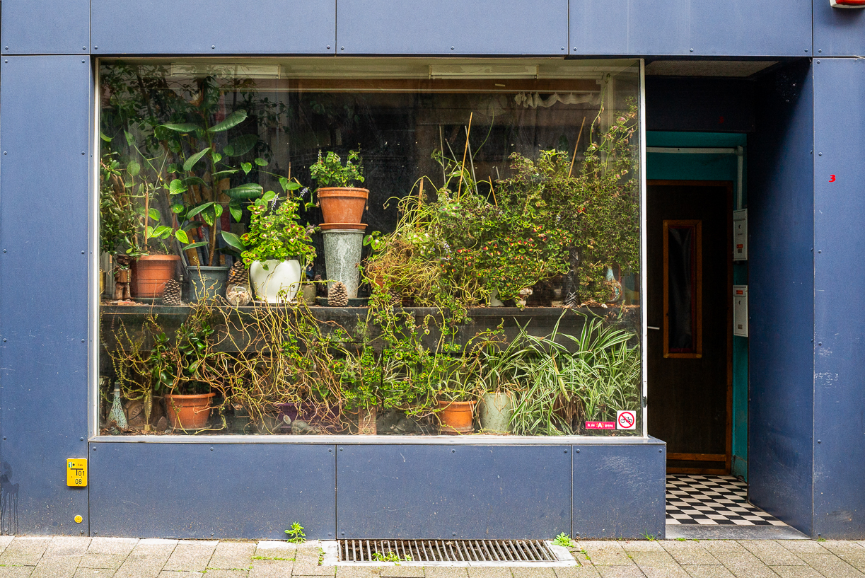 Verdure. 