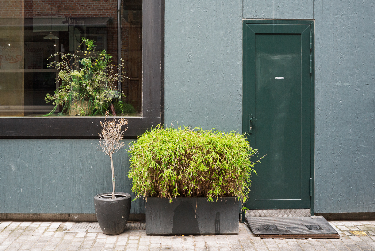 Verdure. 