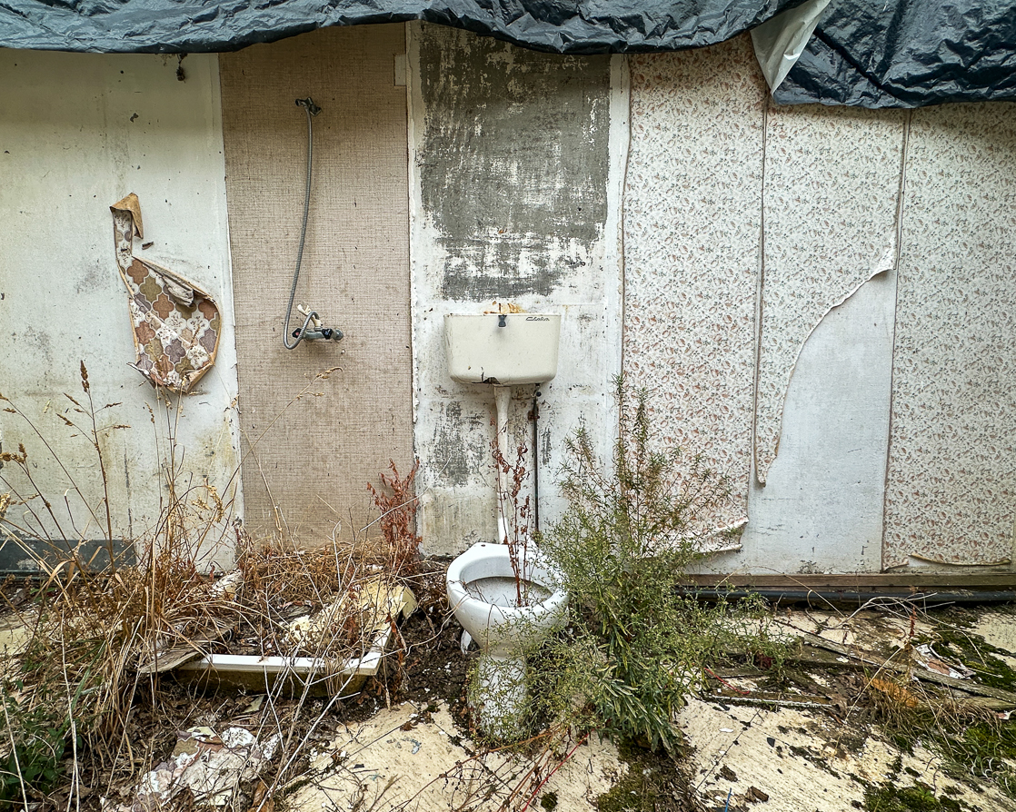 Biodiversité. 