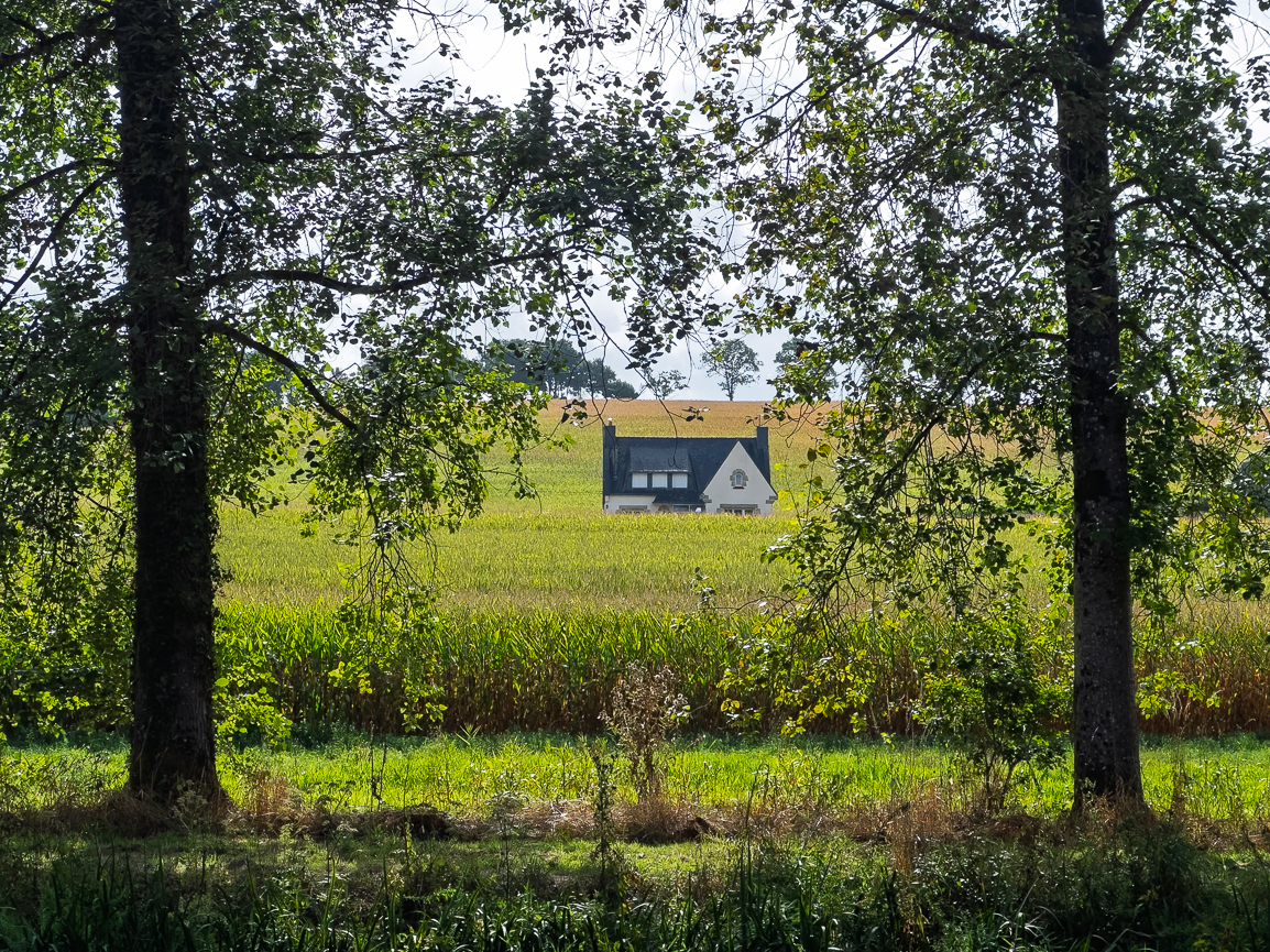 Petite maison dans la prairie.