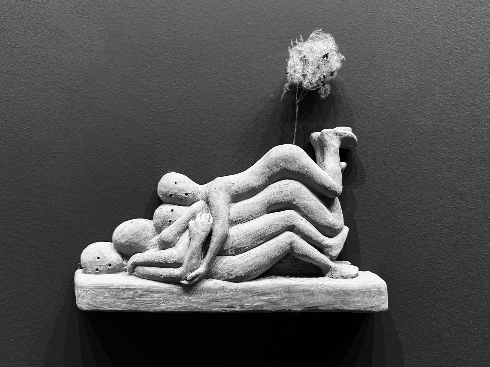 Plume dans le... 
